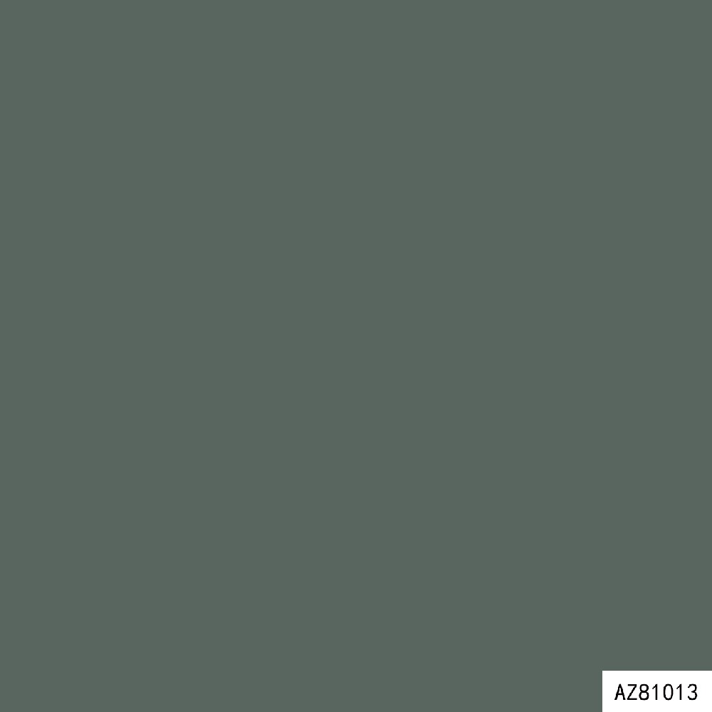 AZ81013