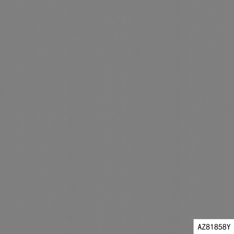 AZ81858Y